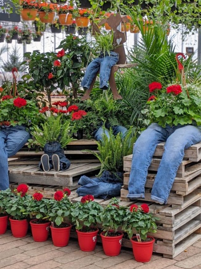 Portfolio Projet de marchandisage au Passion Jardins par Amandine D. - Image avant